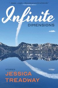 bokomslag Infinite Dimensions