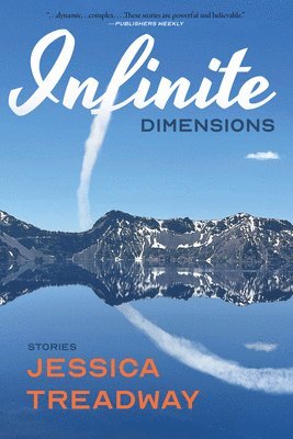bokomslag Infinite Dimensions