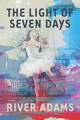 The Light of Seven Days a novel 1