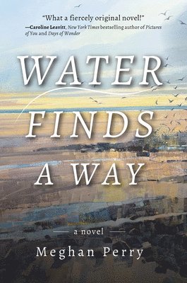 Water Finds a Way a novel 1