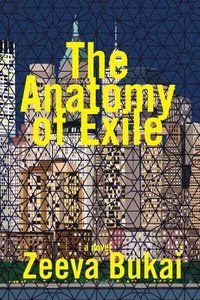 bokomslag Anatomy of Exile