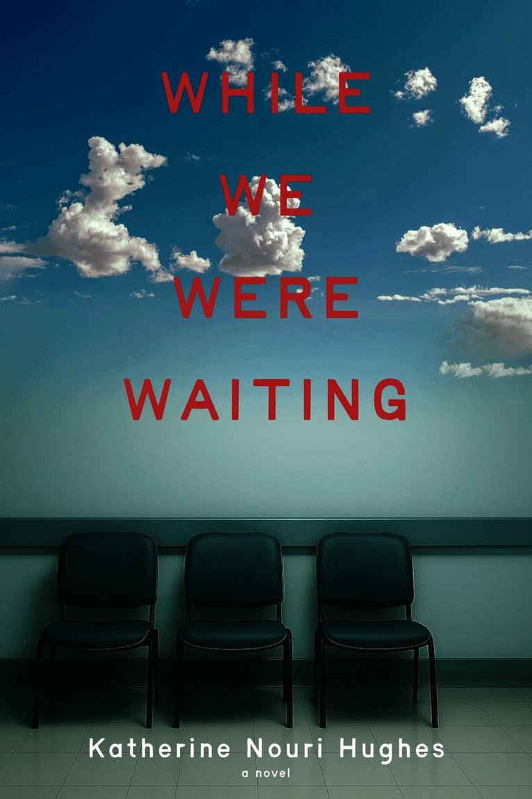 While We Were Waiting