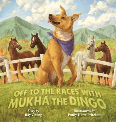 Off to the Races with Mukha the Dingo 1