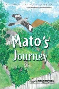 bokomslag Mato's Journey