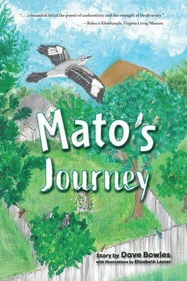 Mato's Journey 1