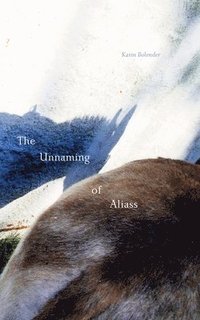 bokomslag The Unnaming of Aliass