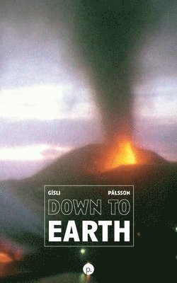 Gísli Pálsson - Down to Earth, Häftad