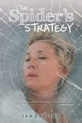 bokomslag Spider's Strategy