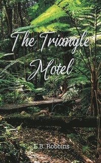 bokomslag Triangle Motel