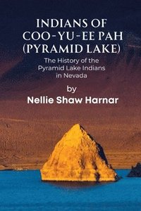 bokomslag Indians of Coo-Yu-Ee Pah (Pyramid Lake)