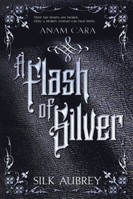 bokomslag Flash of Silver