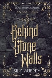 bokomslag Behind Stone Walls