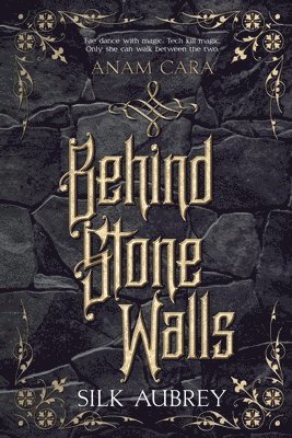 bokomslag Behind Stone Walls