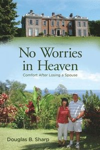bokomslag No Worries in Heaven
