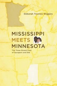 bokomslag Mississippi Meets Minnesota