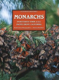 bokomslag MONARCHS In Butterfly Town U.S.A., Pacific Grove, California