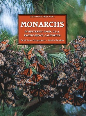 MONARCHS In Butterfly Town U.S.A., Pacific Grove, California