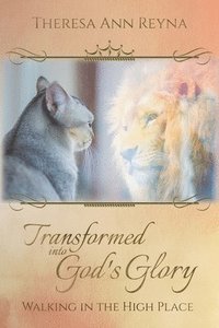 bokomslag Transformed into God's Glory