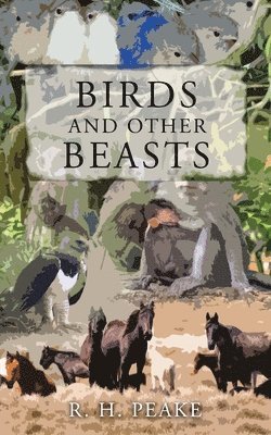 Birds and Other Beast 1
