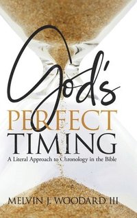 bokomslag God's Perfect Timing