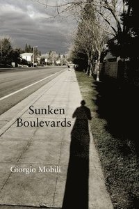 bokomslag Sunken Boulevards