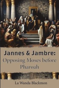bokomslag Jannes & Jambre
