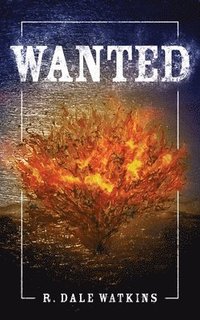 bokomslag Wanted