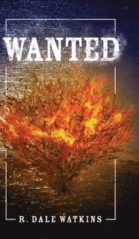 bokomslag Wanted