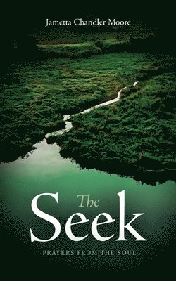 The Seek 1
