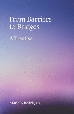 bokomslag From Barriers to Bridges