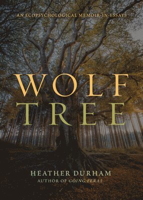 bokomslag Wolf Tree