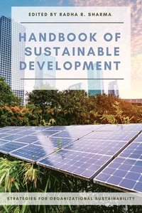 bokomslag Handbook of Sustainable Development