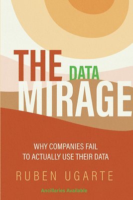 bokomslag The Data Mirage