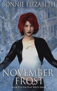 bokomslag November Frost