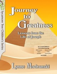 bokomslag Journey to Greatness