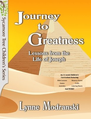 bokomslag Journey to Greatness