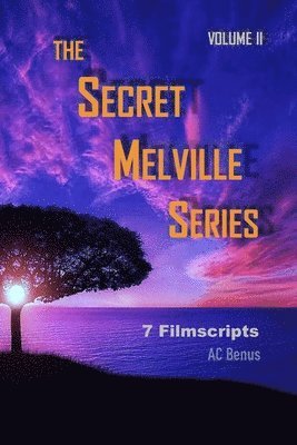 Secret Melville Series
