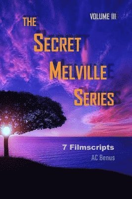 bokomslag The Secret Melville Series