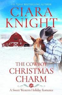 bokomslag The Cowboy Christmas Charm