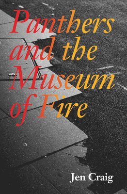 Panthers and the Museum of Fire 1