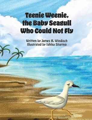 Teenie Weenie, the Baby Seagull Who Could Not Fly