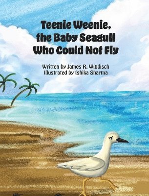 Teenie Weenie, the Baby Seagull Who Could Not Fly 1