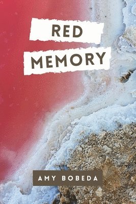 bokomslag Red Memory