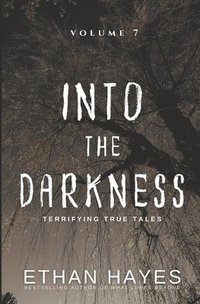 bokomslag Into the Darkness