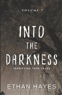 Ethan Hayes - Into the Darkness, Häftad