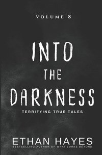 bokomslag Into the Darkness