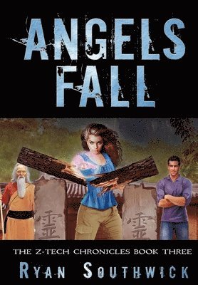 bokomslag Angels Fall