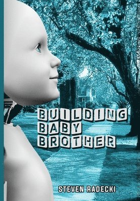 Building Baby Brother 1