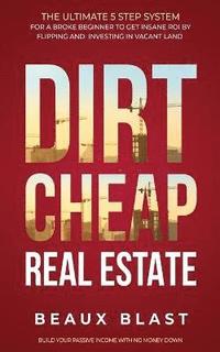 bokomslag Dirt Cheap Real Estate