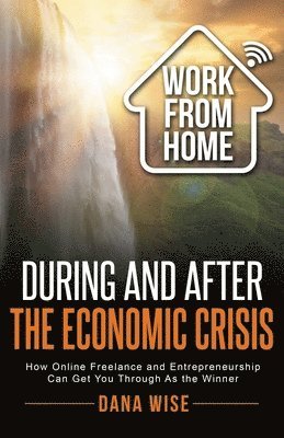 bokomslag Work from Home During and After the Economic Crisis